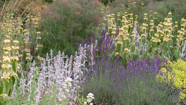 English Country Garden Style - What It Is And How To Achieve It In Your Garden