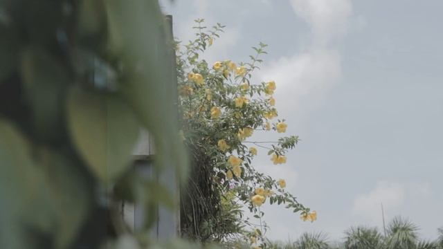 Cinematic LUTs Pack | TOP 3 FREE AMAZING LUT TO DOWNLOAD | Adobe Premiere PRO CC 2019 смотреть онлайн