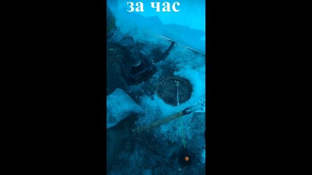 Ловля карася в Далматовских песках! Попадались хорошие экземпляры!Рыбалка порадовала!