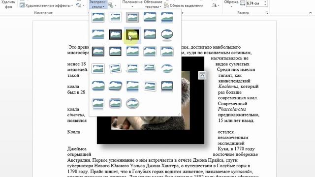 Microsoft Word 2013. 11. Вставка рисунка на страницу смотреть онлайн