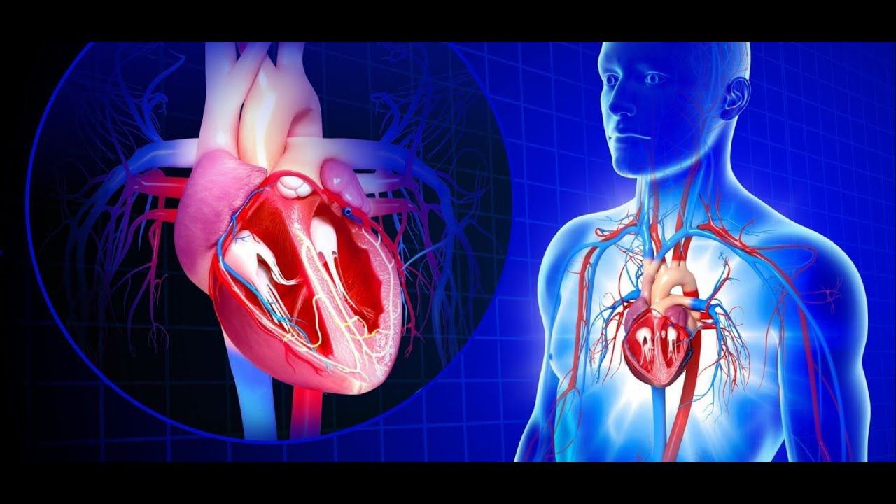 Сердечно-сосудистые заболевания ( Cardio-Vascular Diseases ) And NBS.
