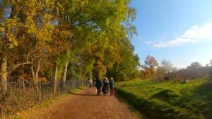 Прогулка по Лондону, Хампстед-Хит. 2020 г.