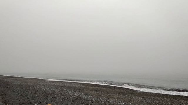 АБХАЗИЯ САМОСТОЯТЕЛЬНОЕ ПУТЕШЕСТВИЕ . Сосновая роща АБХАЗИЯ. Дикие ДЕЛЬФИНЫ в МОРЕ смотреть онлайн