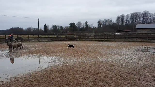 Скай 06.11.21 смотреть онлайн