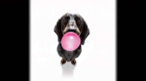 мышка сосиска туц туц собачка жвачка туц туц кошка картошка туц туц