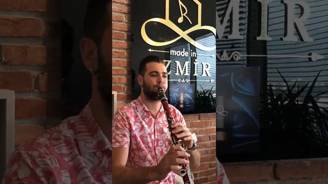 Barış Yazıcı - Elit Seri Klarnet Bek Pelesenk Ağacı смотреть онлайн