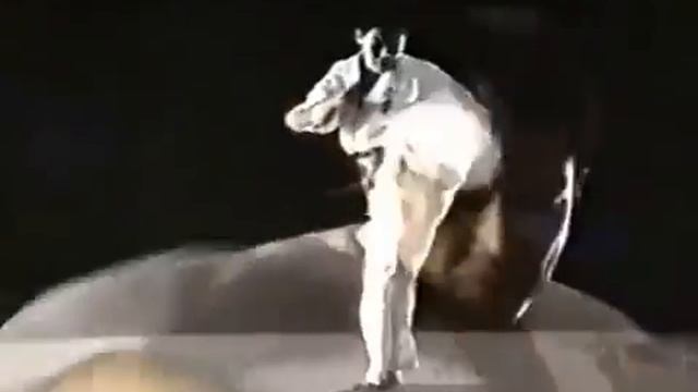 Kyokushin Karate _ Hiroki Kurosawa