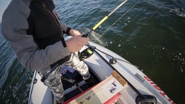 Трофейная щука и крупные окуни | Mahlfishing Predator Cup 2023 смотреть онлайн