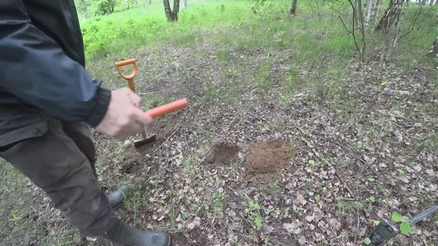 Это МИСТИКА! Земляная жаба сидела на ЗОЛОТЕ! Я нашел ЗОЛОТОЙ.. смотреть онлайн