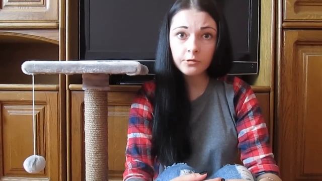 Как приучить котенка к лотку,если ничего не помогает.Мой способ смотреть онлайн