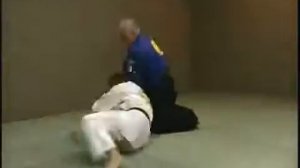 Реальное Айкидо желтый пояс