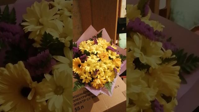 Подарили 28.03.2021