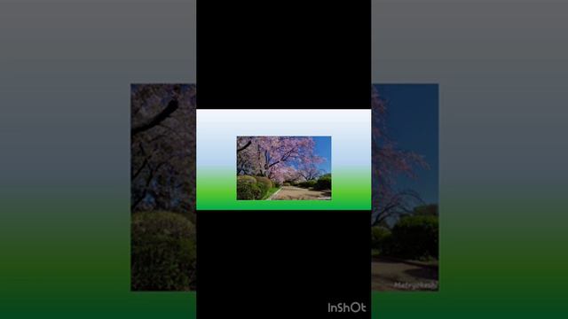 #сад #ландшафт #природа #искусство #алтай #АГУ смотреть онлайн