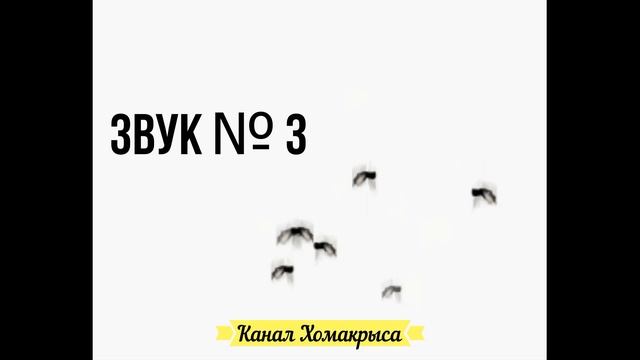 Самые любимые звуки кошек Звук который привлекает котов, кошек и собак Звуки которые нравятся кошка смотреть онлайн