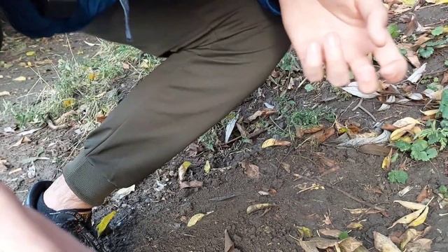 РЫБАЛКА В СЕНТЯБРЕ | КАРАСЬ НА ПОПЛАВОК | ЛОВЛЯ С БЕРЕГА! смотреть онлайн