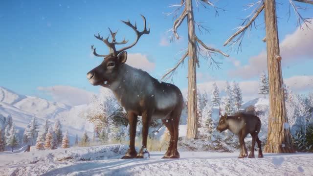 project My motherland Yamal, by the 10 th grade students, Nadym Gymnasium