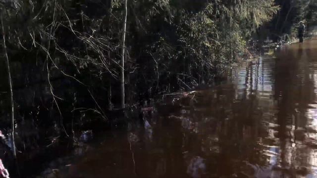 Кругом вода. Часть вторая. С детьми смотреть онлайн