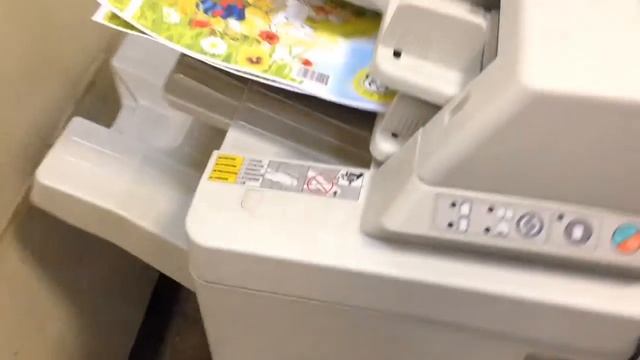 Раскраски смотреть онлайн