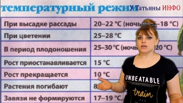 Вытянулась рассада огурцов/тыквы/кабачков/перцев, что делать? Болезни рассады. смотреть онлайн