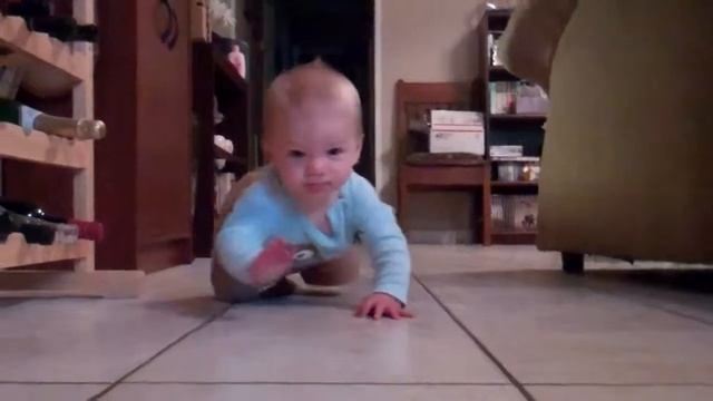 SJ Fast Crawl смотреть онлайн