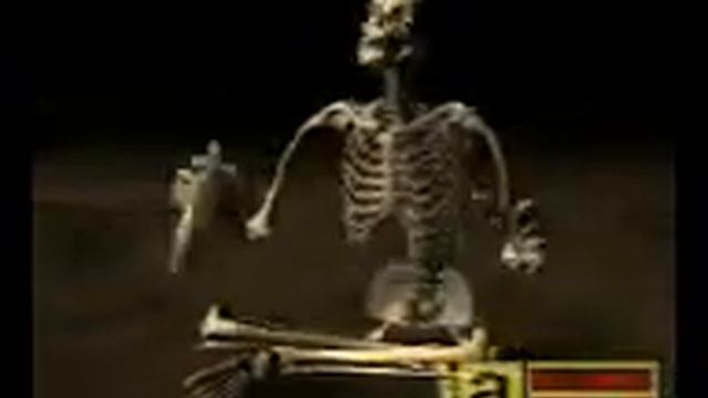 Hi Re Koli Kale смотреть онлайн