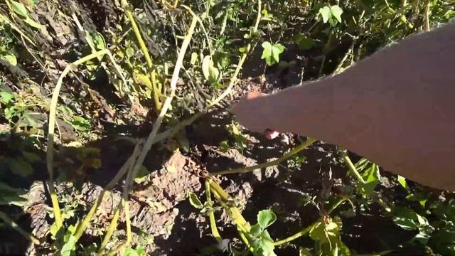 В ШКОЛУ КАК НА ПРАЗДНИК НО БЕЗ РОДИТЕЛЕЙ|ПОДШИВКА СВЕСОВ КРОВЛИ ФРАНТОНА| смотреть онлайн