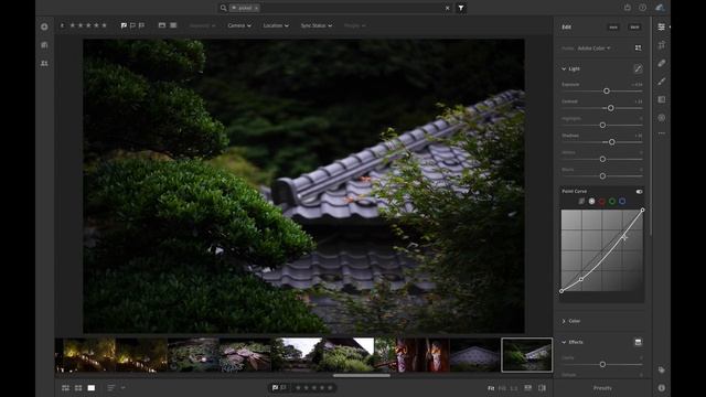 Lightroom Coffee Break: Explore Tone Curves in Lightroom CC смотреть онлайн