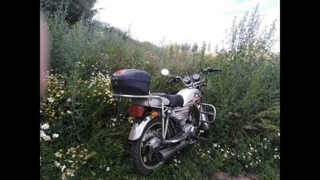 Рыбалка 2019 (Марьевка возле пгт.Змиевка) смотреть онлайн