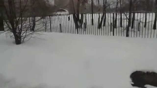 Vlog1#В снегу\In the snow смотреть онлайн