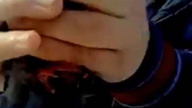 бедный голубь смотреть всем смотреть онлайн