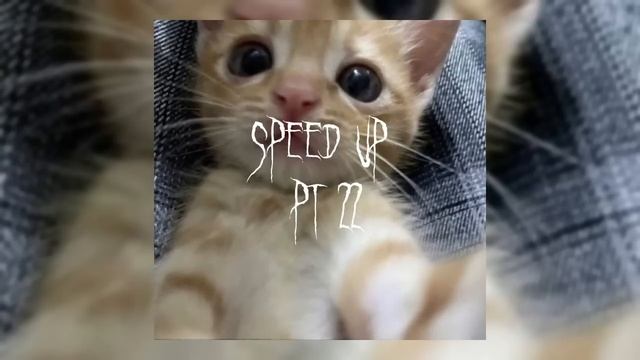 мияги-i Got Love(speed Up)