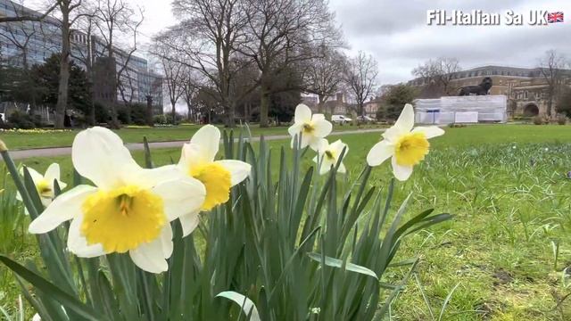 Reading Berkshire England UK- Birthplace of Catherine, Princess of Wales смотреть онлайн