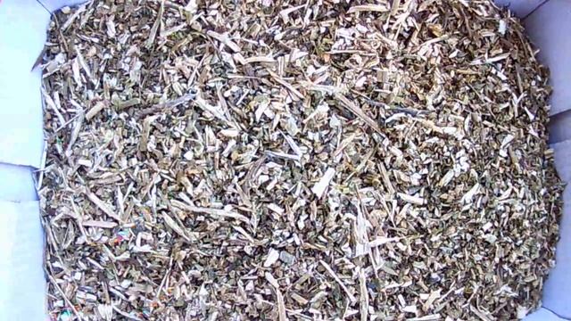 Приготовил махорку ,для курения в трубке. смотреть онлайн