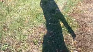 Ищем одноразки