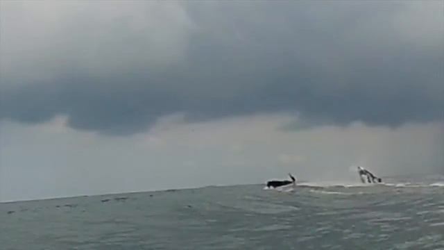 Подготовка первого феста JetCamp 2014 стоячих гидроциклов смотреть онлайн