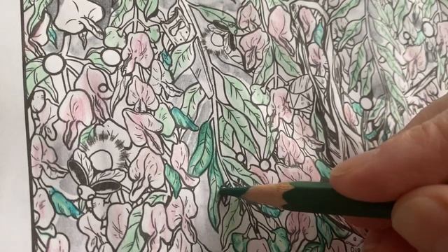 Раскраски из серии Mythographic из Fix-Price Начинаю новую раскраску #раскраска #фикспрайс #покупк смотреть онлайн