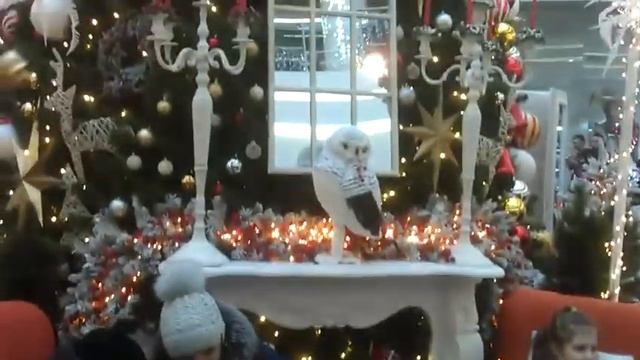 Дана Молл. Dana Mall. Предновогоднее настроение! Лучший торгово-развлекательный центр для отдыха! смотреть онлайн