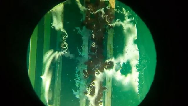 флюс ТАГС, под микроскопом. 16 вольт, 1.5 ампер смотреть онлайн