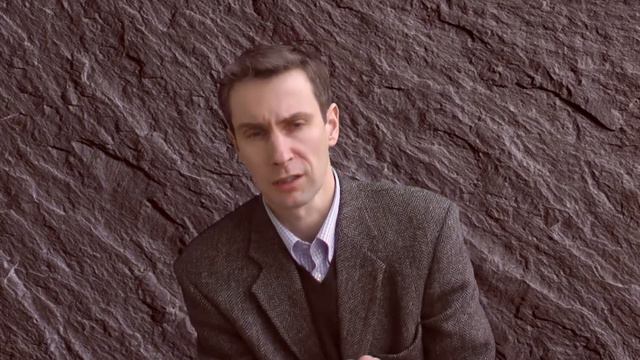 Альгирдас Палецкис. Исторический ракурс смотреть онлайн
