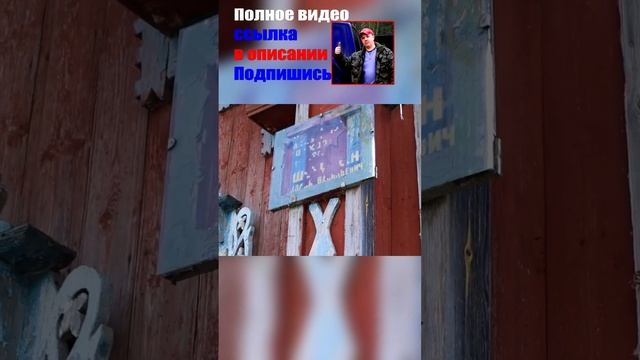 2 Березки возле заброшенного дома в заброшенной деревне смотреть онлайн