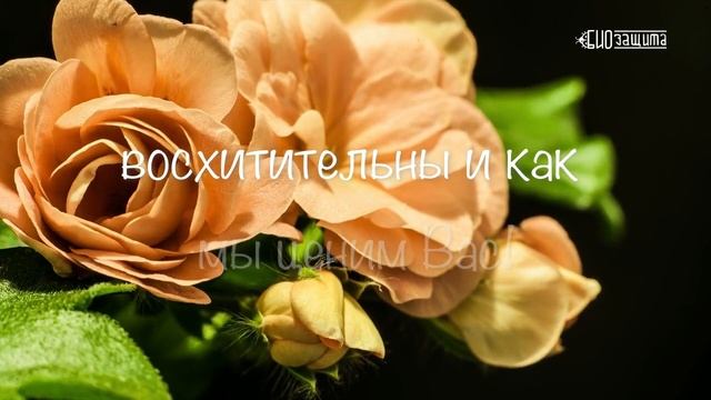 Поздравляем всех женщин с Международным женским днем 8 марта | БиоЗащита