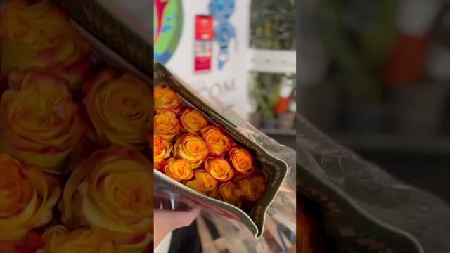 РОЗЫ ЭКВАДОР | обзор-распаковка микса эквадорских роз смотреть онлайн