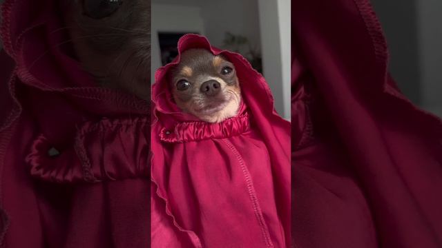 Мама Льоні без піжами смотреть онлайн