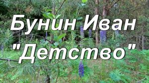 Стихотворение Иван Бунин "Детство"