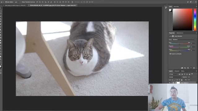 How to Make a LUT in Photoshop смотреть онлайн