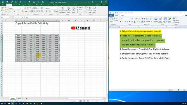 Excel Tips - Copy & Paste Visible Cells Only - AzchanneL