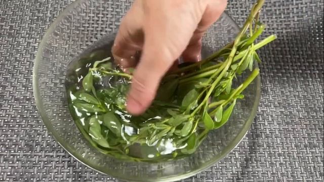 Увидев Это Растение в Своём Саду, НЕ выбрасывайте его. Вмиг на ноги поставит! смотреть онлайн