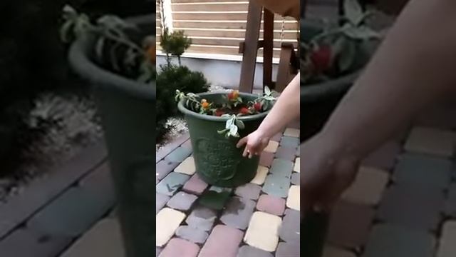 Когда нужно покрывать мебель лаком |Что такое патинирование|Декор уличной мебели смотреть онлайн