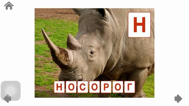 Алфавит для детей. Животный мир. смотреть онлайн