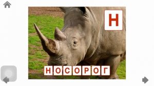 Алфавит для детей. Животный мир.